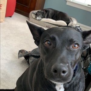 Meet your Posher, Patricia